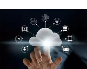 中國企業人力資本管理數字化要避開哪些 陷阱